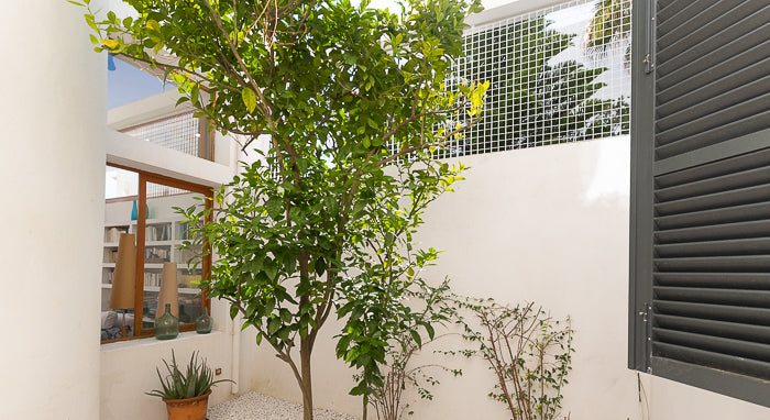 Finca Mar i Sol in Cala d'Or, Mallorca – Ansicht 19