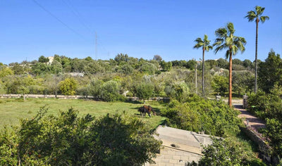 Finca Moderna in Búger, Mallorca – Ansicht 3