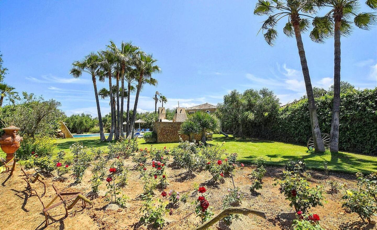 Finca Oro in Can Picafort, Mallorca – Ansicht 16
