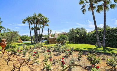 Finca Oro in Can Picafort, Mallorca – Ansicht 16