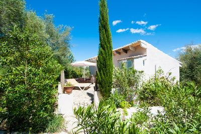 Finca Pau in Petra, Mallorca – Ansicht 2