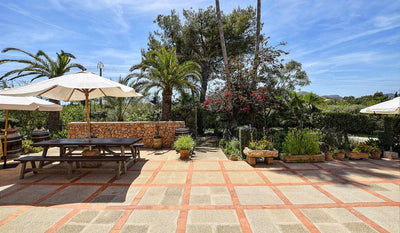 Finca Reonto in Alcúdia, Mallorca – Ansicht 25