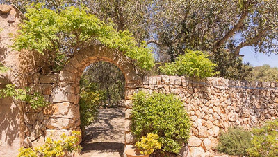 Finca Rica in Santanyí, Mallorca – Ansicht 14