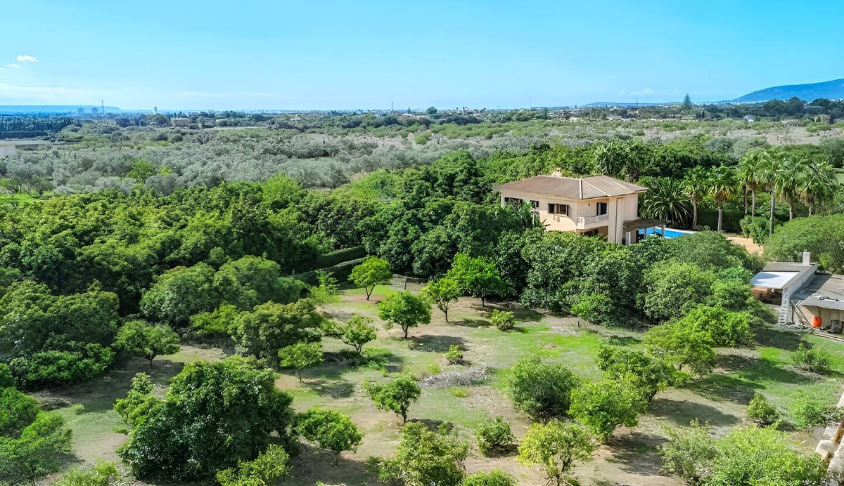 Finca Sa Lino in Palma, Mallorca – Ansicht 12
