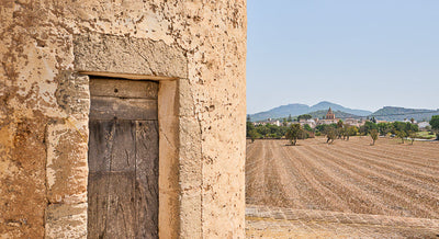 Finca Sa Torrassa in Cas Concos, Mallorca – Ansicht 3