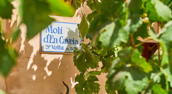 Finca Sa Torrassa in Cas Concos, Mallorca – Ansicht 4