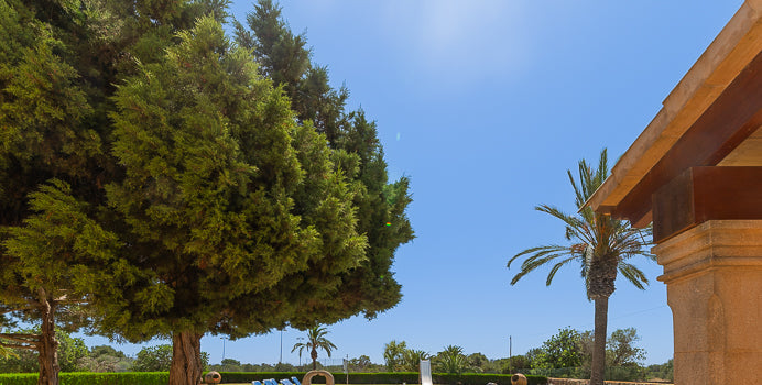 Finca Sarina Sanu in Cala Ferrera, Mallorca – Ansicht 3