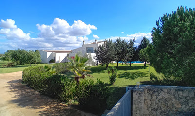 Finca Sontoro in Binissalem, Mallorca – Ansicht 11