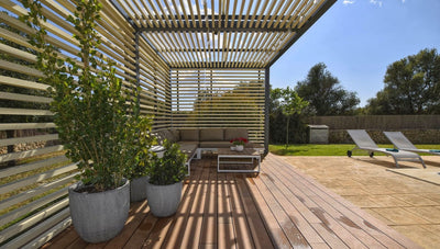 Finca Sontoro in Binissalem, Mallorca – Ansicht 16