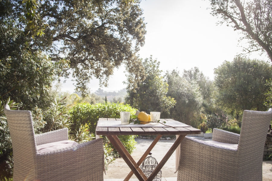 Finca Yago in Petra, Mallorca – Ansicht 5