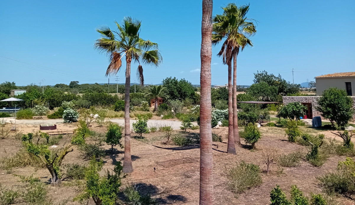 Landhaus Hort des Padri in Marratxí, Mallorca – Ansicht 13