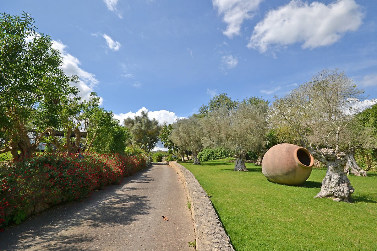 Landhaus Pleta in Petra, Mallorca – Ansicht 8
