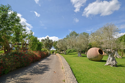 Landhaus Pleta in Petra, Mallorca – Ansicht 8