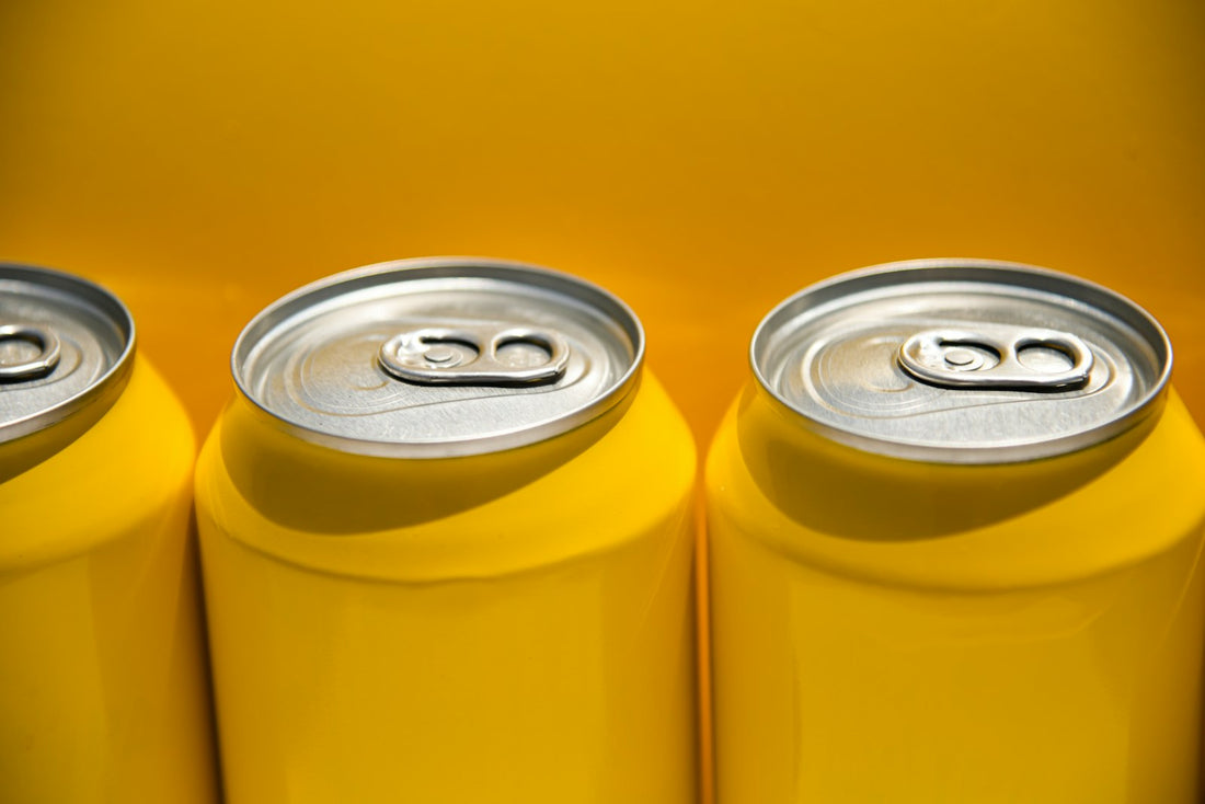 Holländisches Bier in der Dose – 330 ml