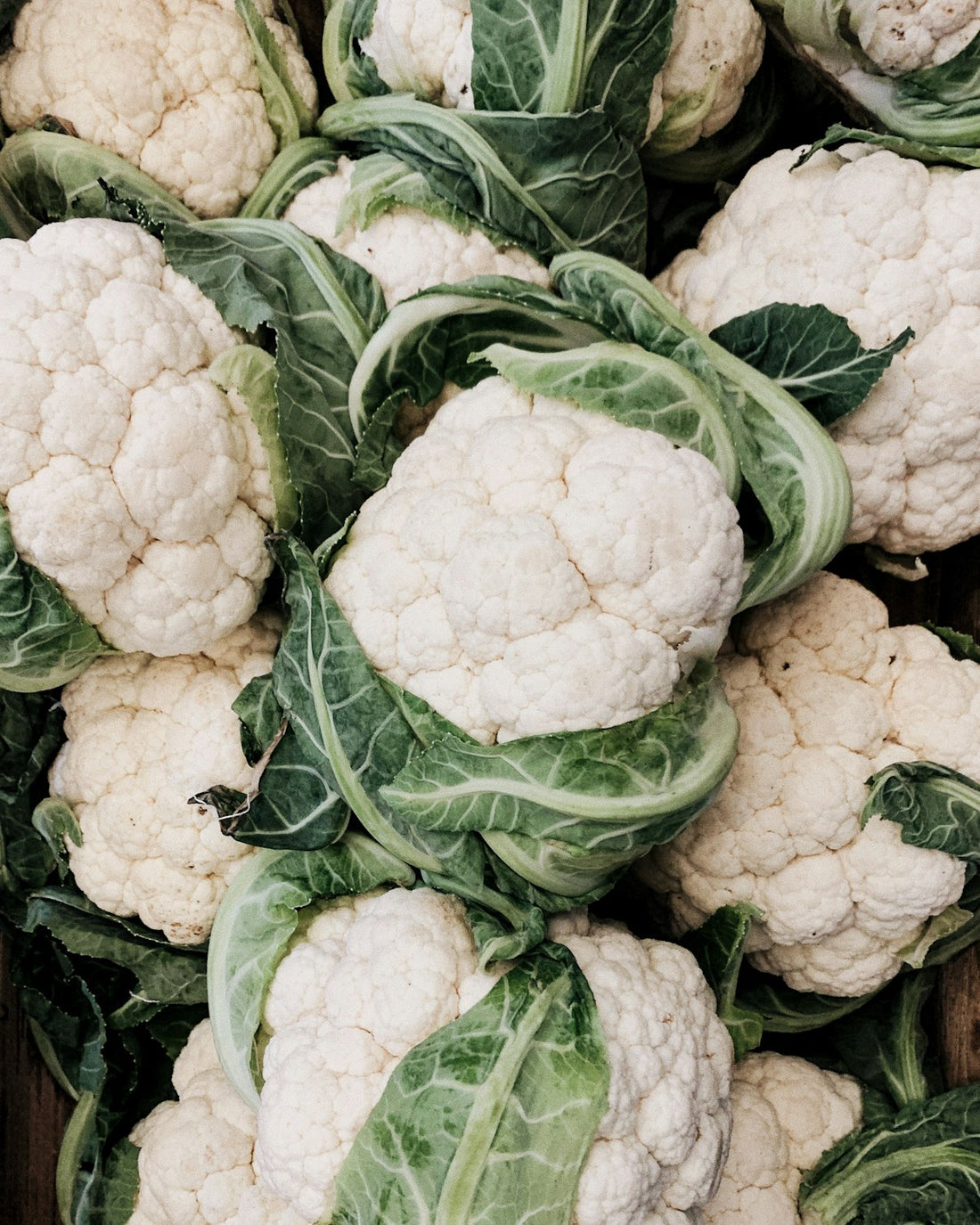 Blumenkohl