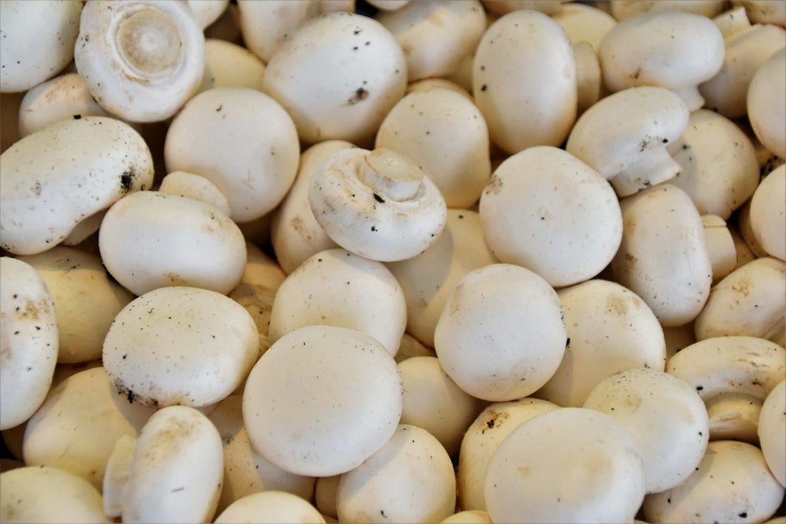 Champignons – 500 g