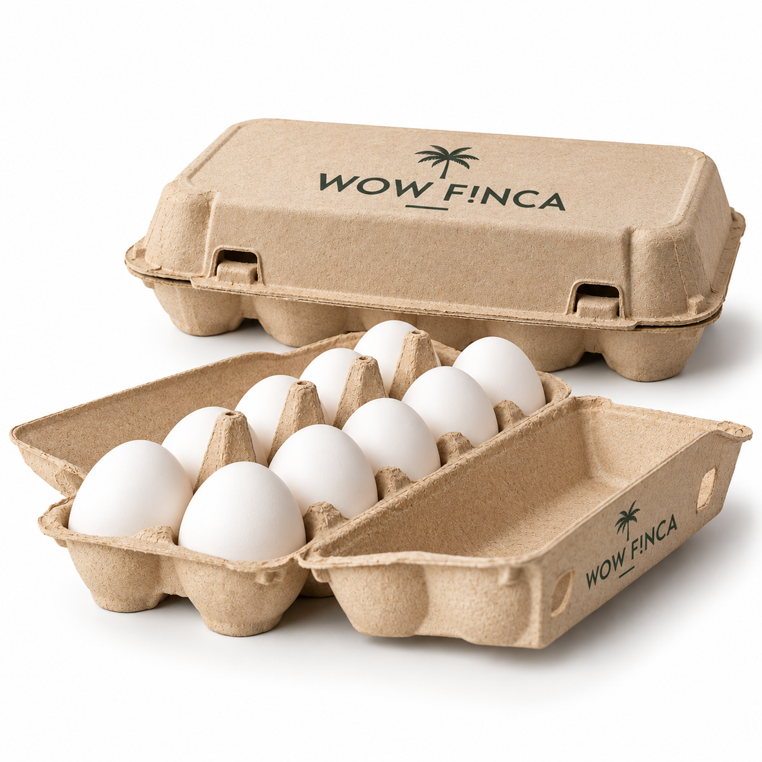 Huevos de gallinas camperas – 12 unidades