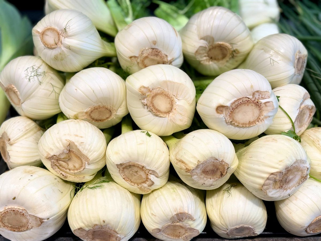 Fenchel