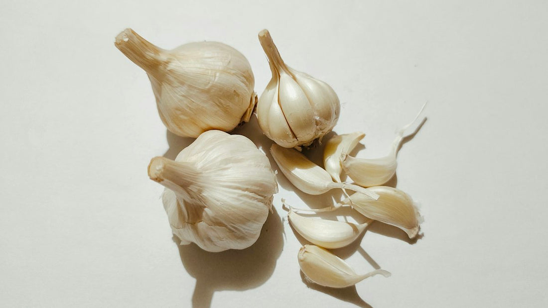 Knoblauch – 3 Knollen