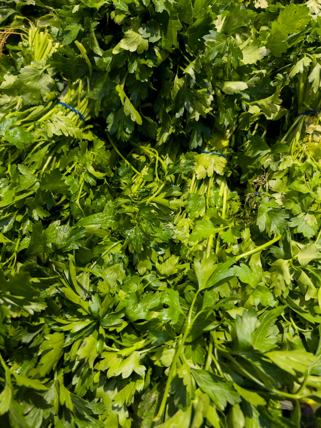 Fresh parsley – 1 bunch