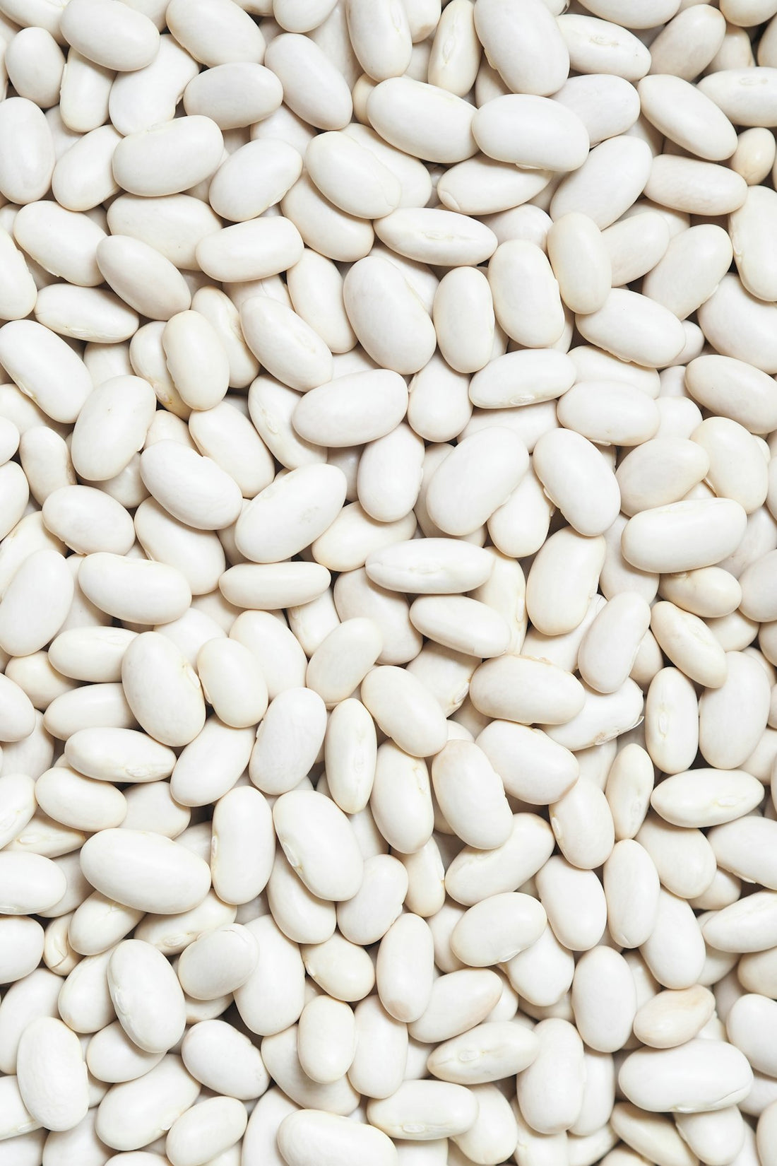 Cooked white beans – 400 g