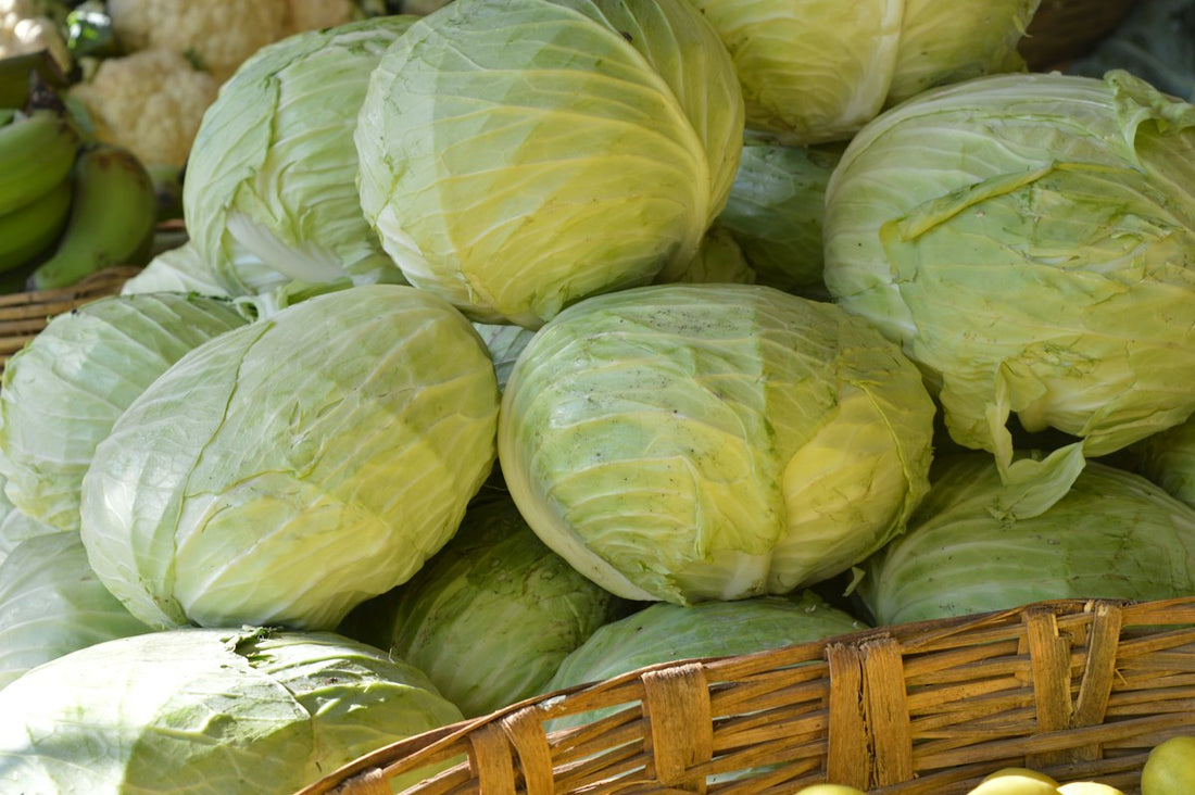 Weißkohl