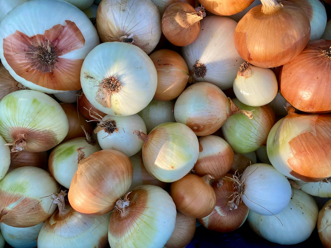 Onions – 1 kg